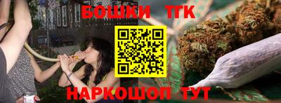мдпв Славгород