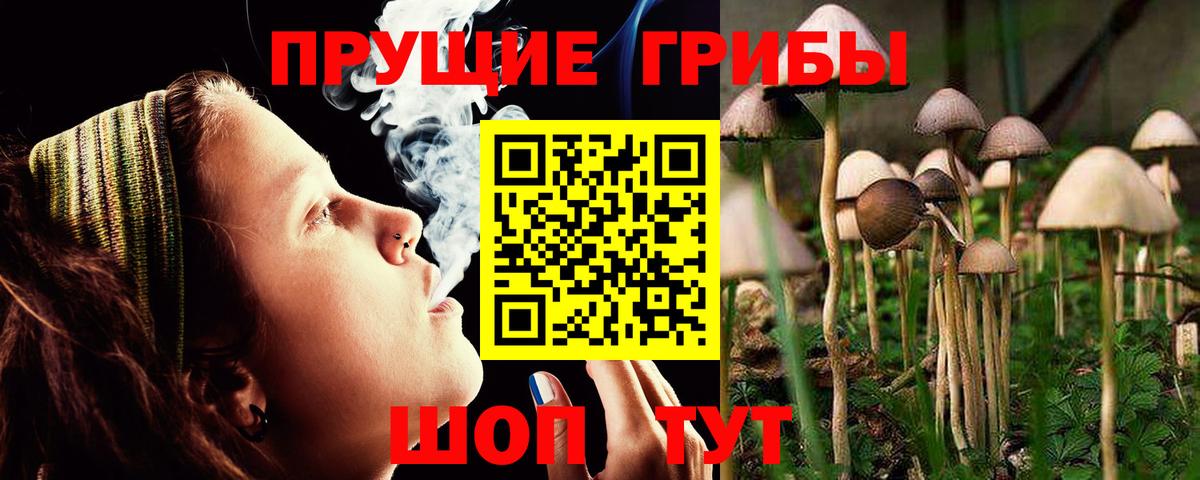 Галлюциногенные грибы Psilocybine cubensis  Галлюциногенные грибы GOLDEN TEACHER  Вход с VPN  Сегежа 