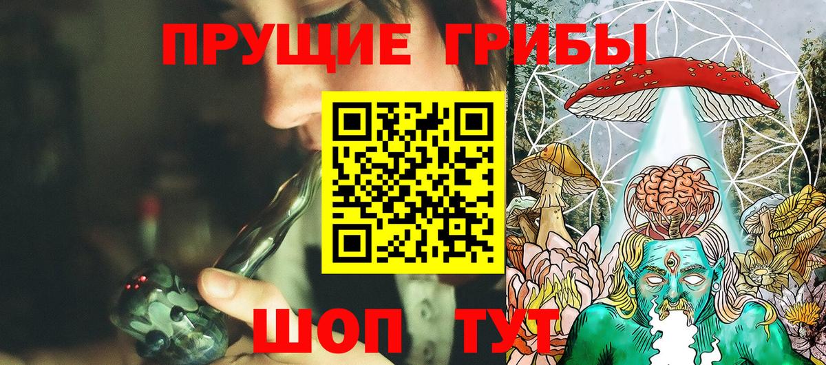 Псилоцибиновые грибы GOLDEN TEACHER Сегежа